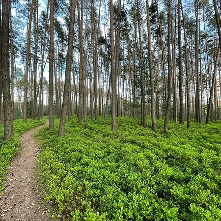 Kamenice * Dobsin